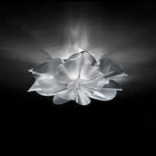 Load image into Gallery viewer, Etoile LED Ceiling / Wall Light in Detail.
