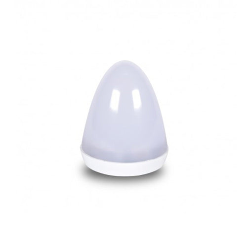 LED Bulb.