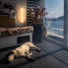 Load image into Gallery viewer, Superficie Ceiling / Wall Light in living room.
