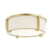 Load image into Gallery viewer, Talon Flush Mount Ceiling Light in 3-Light/Aged Brass.
