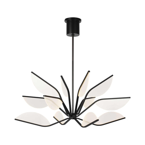Belterra LED Chandelier.