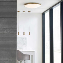 Load image into Gallery viewer, Captra Low Voltage Pendant Light in living room.
