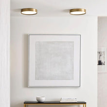 Load image into Gallery viewer, Finch Round LED Flush Mount Ceiling Light in living room.
