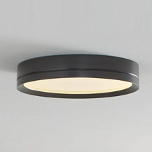 Load image into Gallery viewer, Finch Round LED Flush Mount Ceiling Light in Detail.
