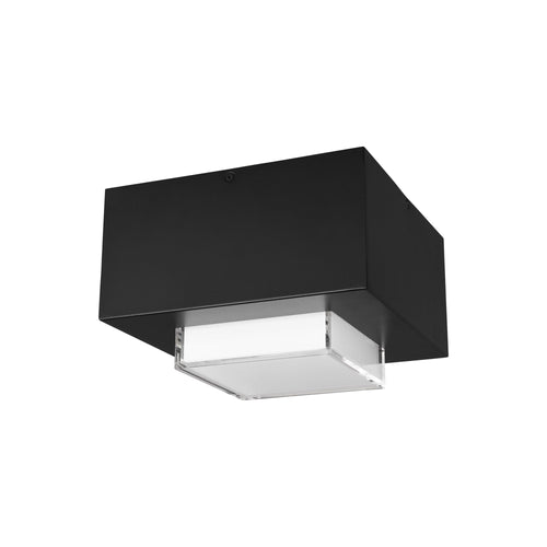 Leagan LED Flush Mount Wall Light.