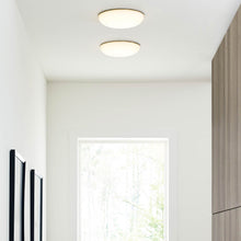 Load image into Gallery viewer, Megan LED Flush Mount Ceiling Light in Hallway.
