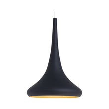 Load image into Gallery viewer, Noema Pendant Light in Black/Gold.
