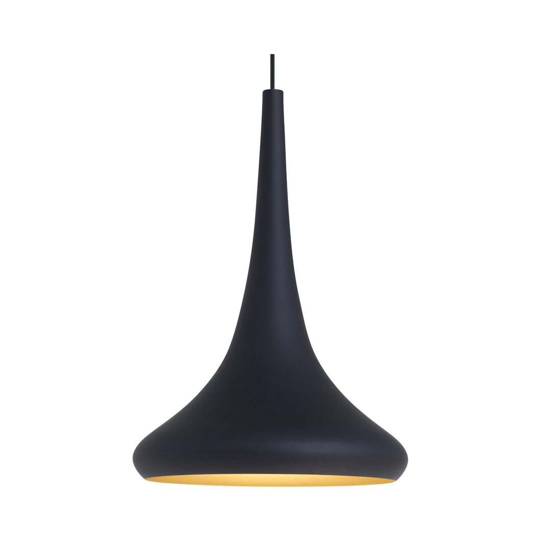 Noema Pendant Light in Black/Gold.
