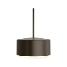Load image into Gallery viewer, Roton Outdoor LED Pendant Light in Small/Bronze.
