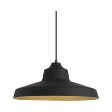 Load image into Gallery viewer, Zevo Pendant Light.
