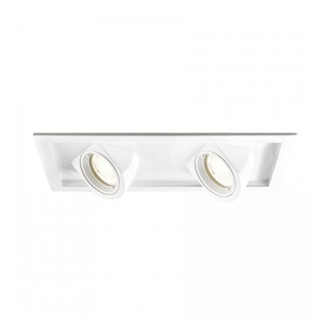 Tesla Multiple Spots 2-Light LED Recessed Trim (Trim).