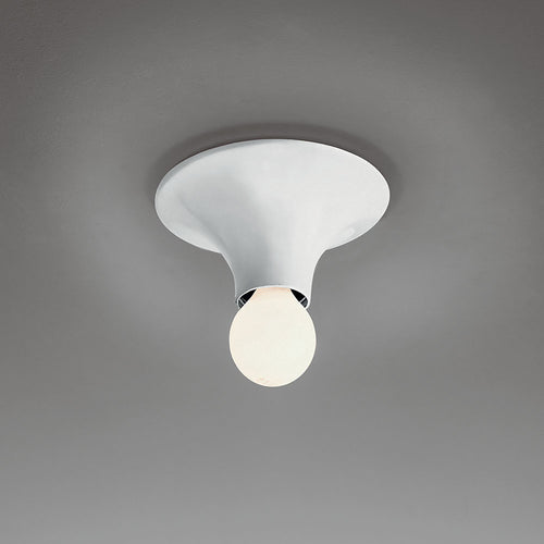 Teti Ceiling/Wall Light.