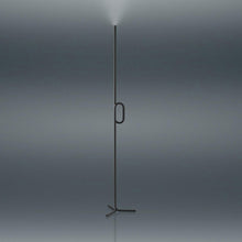 Load image into Gallery viewer, Tobia LED Floor Lamp in Black.
