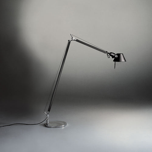 Tolomeo Reading Floor Lamp.