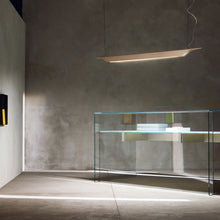 Load image into Gallery viewer, Troag Linear Suspension Light - Exhibition.
