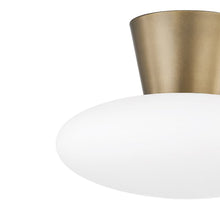 Load image into Gallery viewer, Brody Flush Mount Ceiling Light in Detail.

