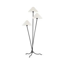 Load image into Gallery viewer, Cedar Floor Lamp.
