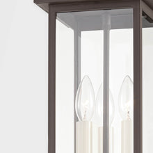 Load image into Gallery viewer, Eden Outdoor Pendant Light in Detail.
