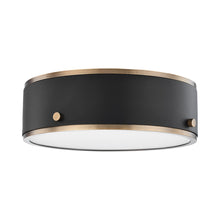 Load image into Gallery viewer, Eli Flush Mount LED Ceiling Light.
