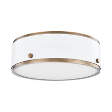 Load image into Gallery viewer, Eli Flush Mount LED Ceiling Light in Soft White (Small).
