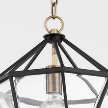 Load image into Gallery viewer, Moss Pendant Light in Detail.
