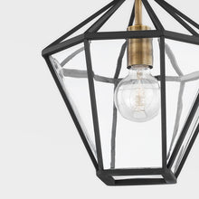 Load image into Gallery viewer, Moss Pendant Light in Detail.
