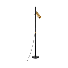 Load image into Gallery viewer, Quinn Floor Lamp.

