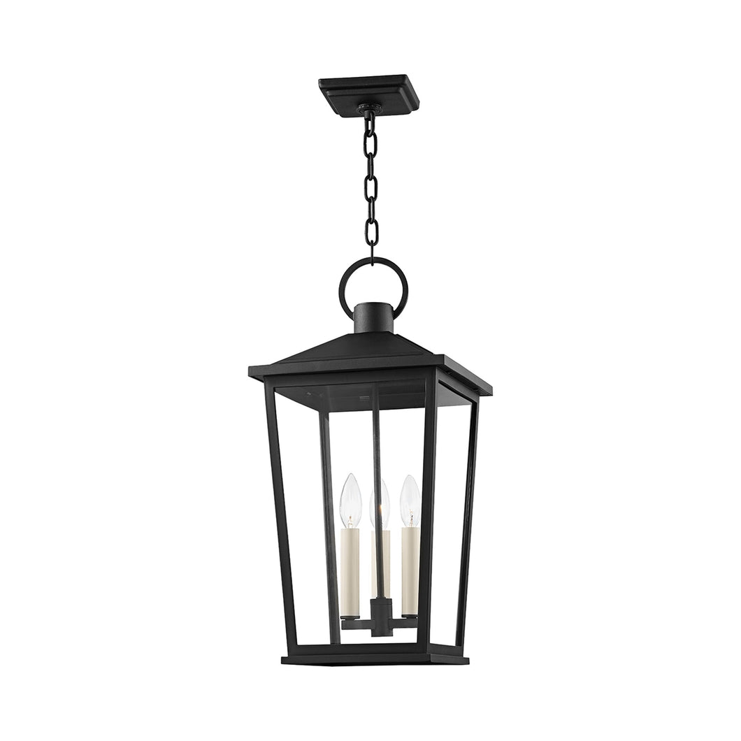 Soren Outdoor Pendant Light in Texture Black.