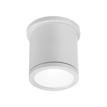 Load image into Gallery viewer, Tube LED Flush Mount Ceiling Light in White (Small).
