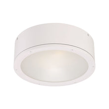 Load image into Gallery viewer, Tube LED Flush Mount Ceiling Light in White (Large).

