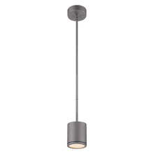 Load image into Gallery viewer, Tube LED Pendant Light in Graphite.
