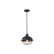 Load image into Gallery viewer, Urban Renewal Round Cage Pendant Light in Black.
