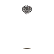 Load image into Gallery viewer, Giogali Floor Lamp in Matt Bronze/Crystal Black Nickel.
