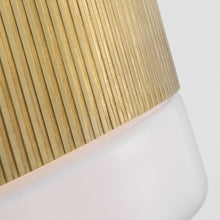 Load image into Gallery viewer, Ace LED Flush Mount Ceiling Light in Detail.
