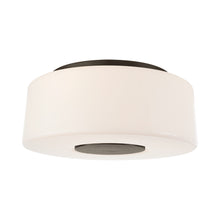 Load image into Gallery viewer, Acme Flush Mount Ceiling Light in Bronze (Large).
