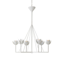 Load image into Gallery viewer, Alberto Chandelier in Detail.
