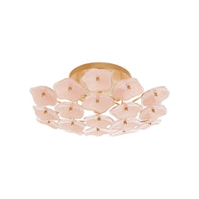 Load image into Gallery viewer, Leighton Flush Mount Ceiling Light in Soft Brass/Blush (Medium).
