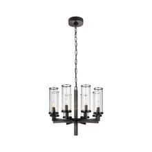 Load image into Gallery viewer, Liaison Chandelier in Single/Bronze/Clear.
