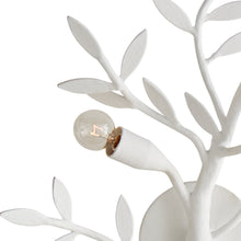 Load image into Gallery viewer, Mandeville Wall Light in Detail.
