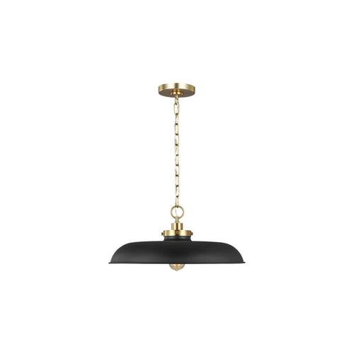 Wellfleet Pendant Light in Black.